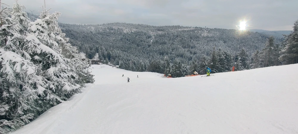 Bild hochgeladen von Kane