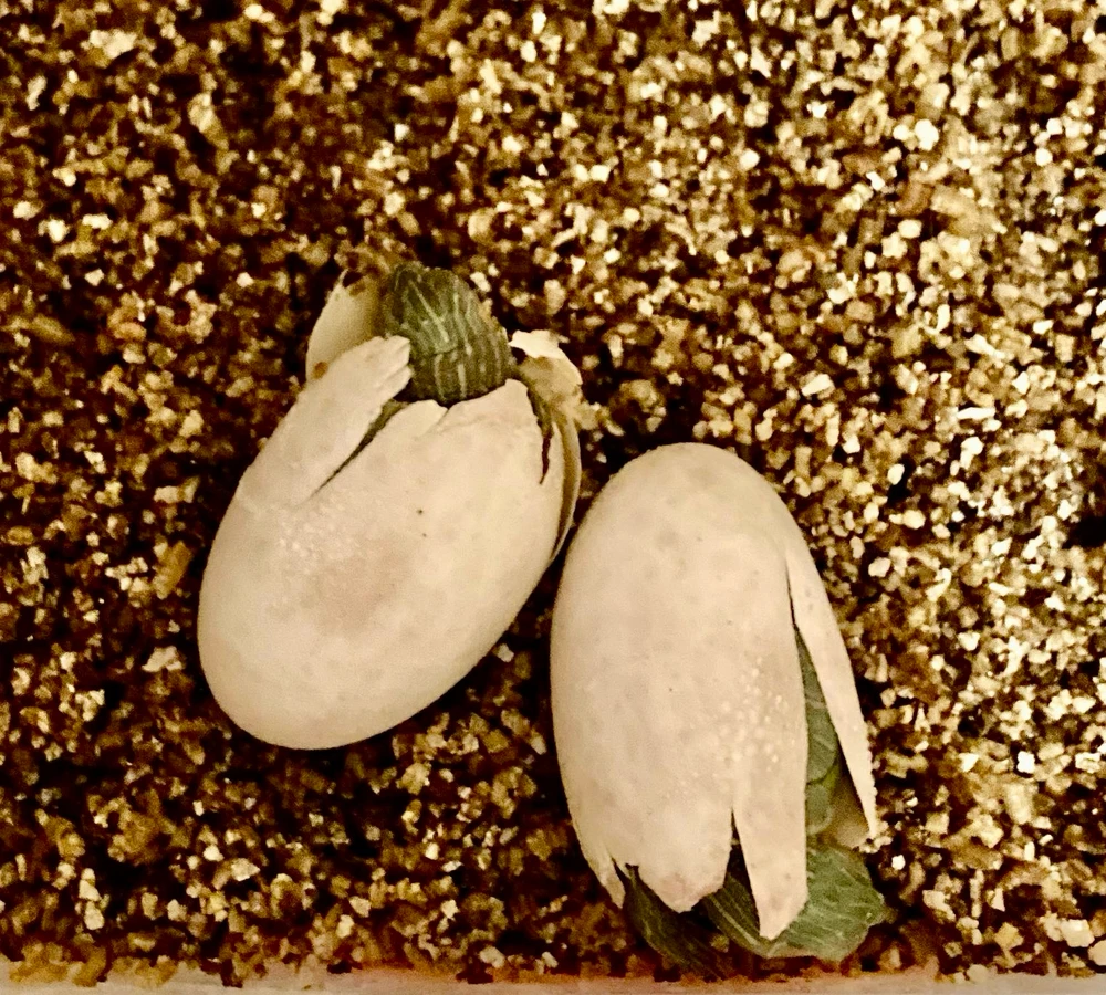 Immagine caricata da Alex