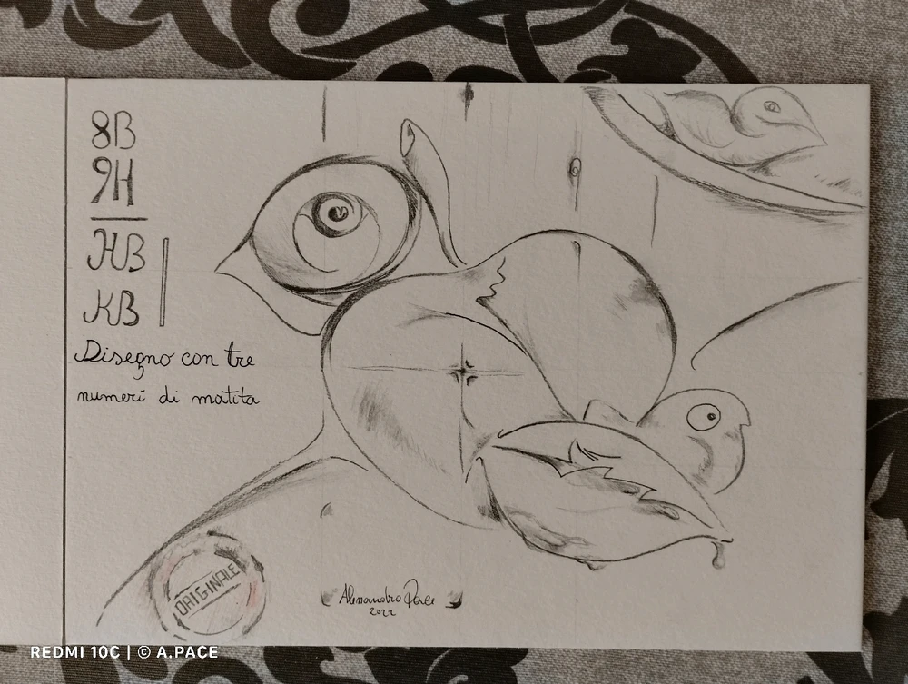 Immagine caricata da Alessandro | alpacigno