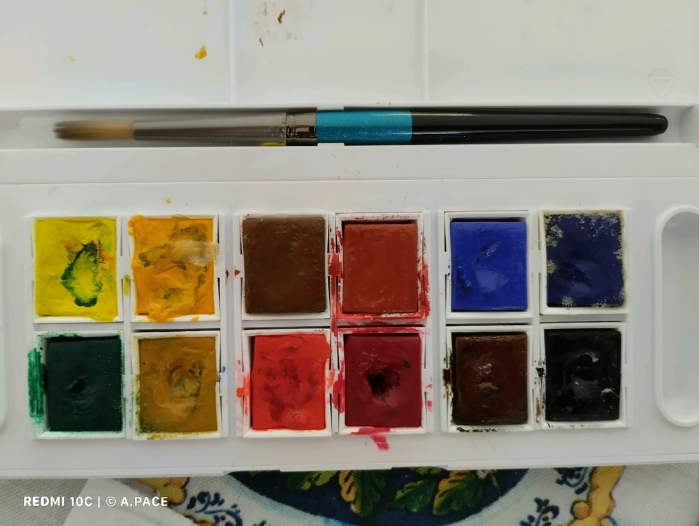 Immagine caricata da Alessandro | alpacigno