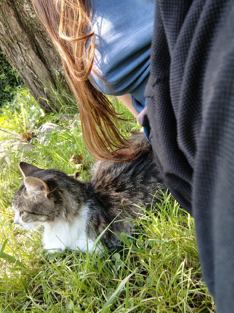 Imagen subida por Aria