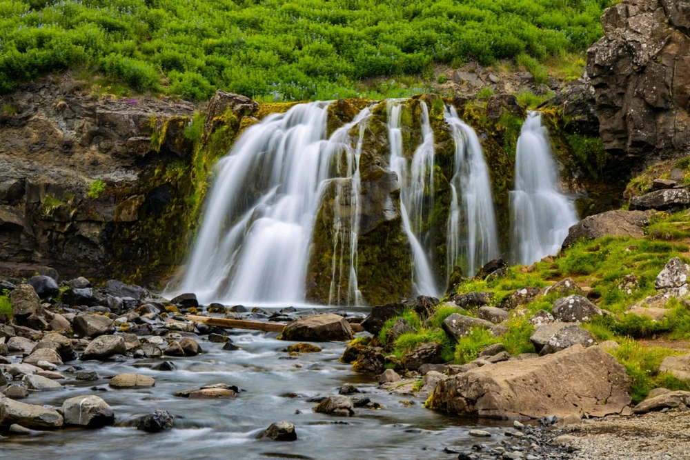 Image uploaded by Piotr