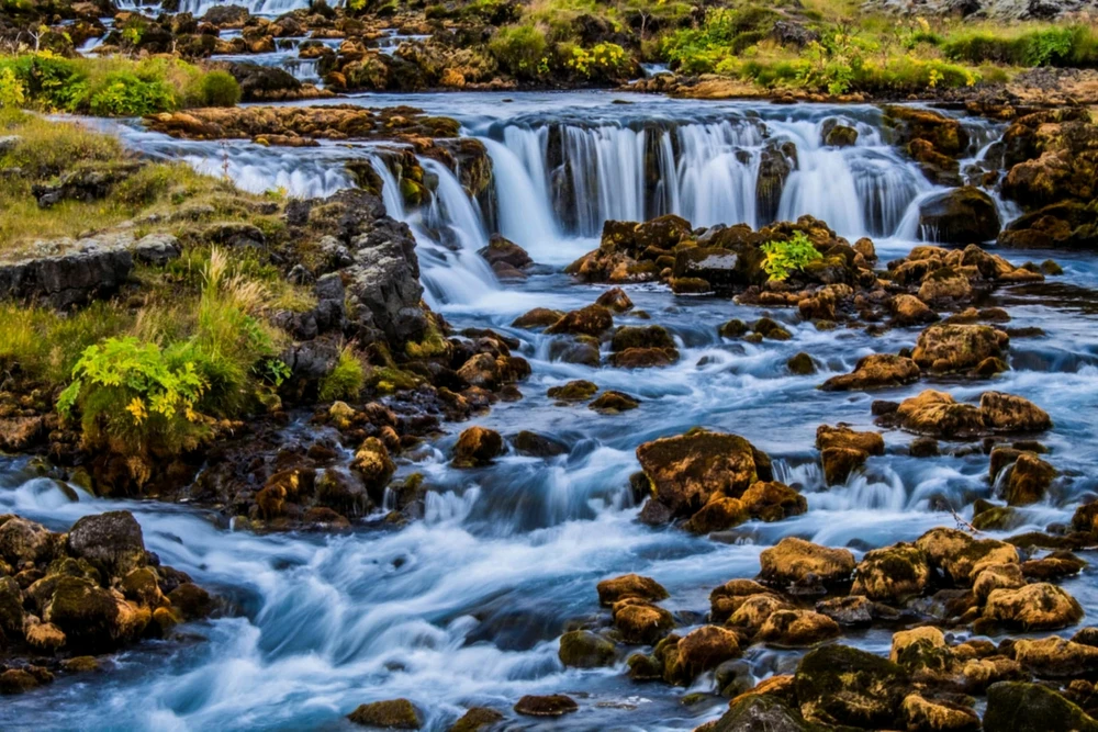 Image uploaded by Piotr