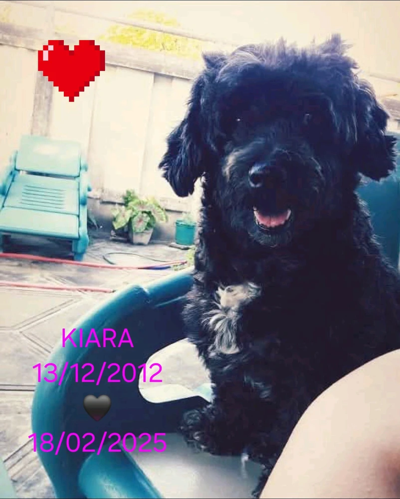 GIF enviado por Milla Costa