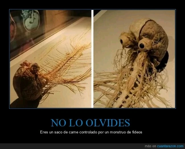 GIF subido por Samuel