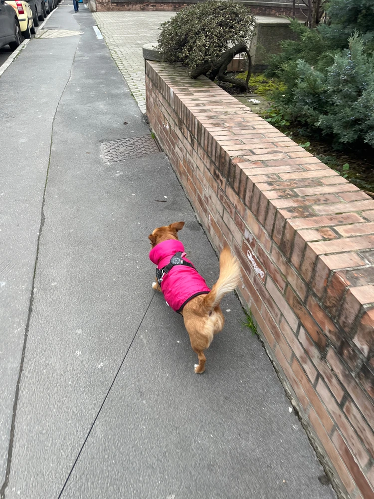 GIF caricata da Anto