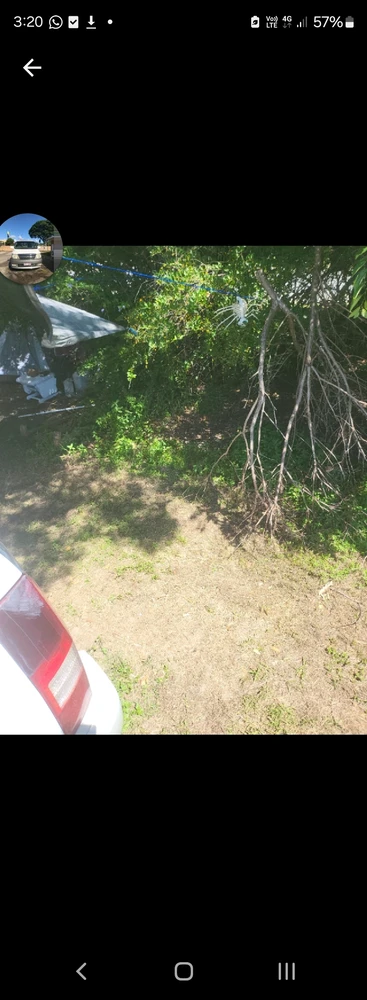 GIF uploaded by Ash 🐶🐱🦝🐝🐢🦜🐑