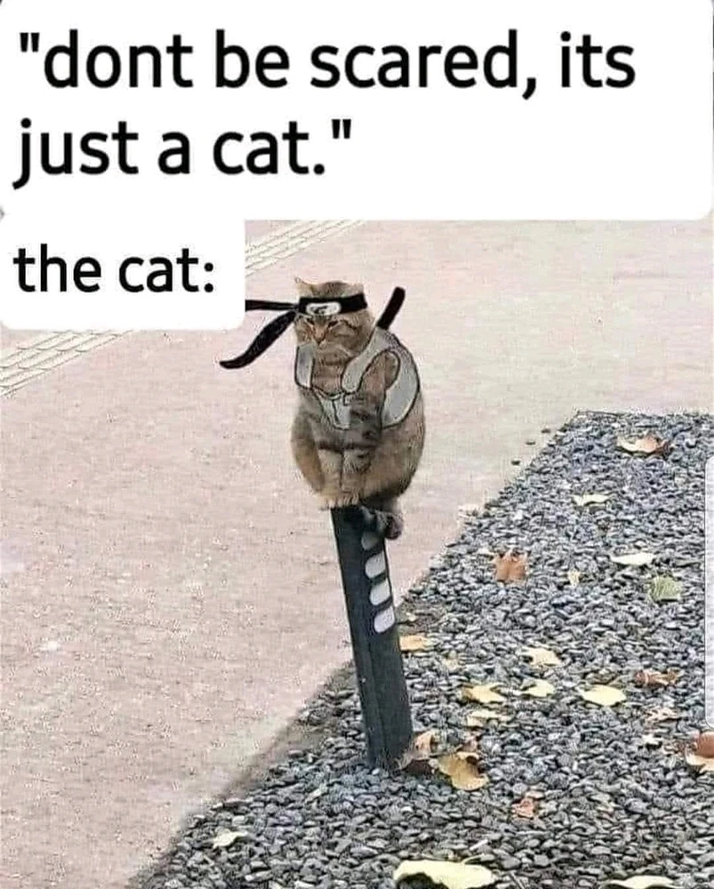 GIF uploaded by Erica