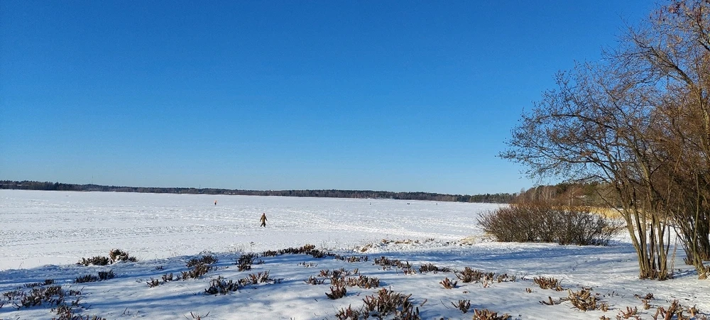 Image uploaded by Sanni