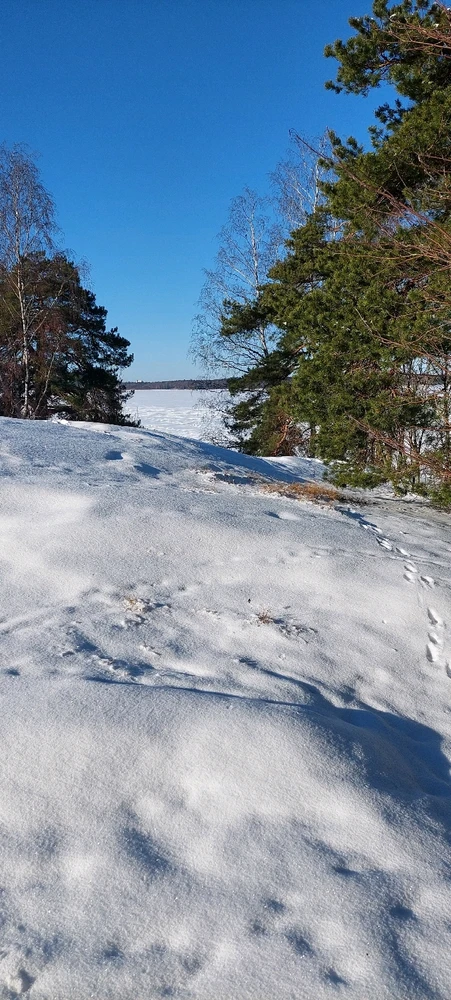 Image uploaded by Sanni