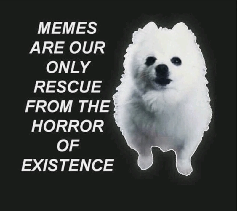 GIF uploaded by 《🌹.::Lenöré::.🌹》