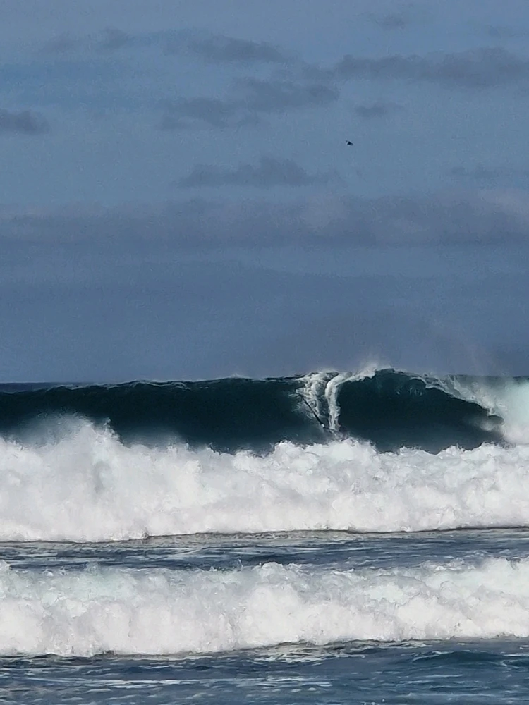 Image uploaded by Jan Alstrup