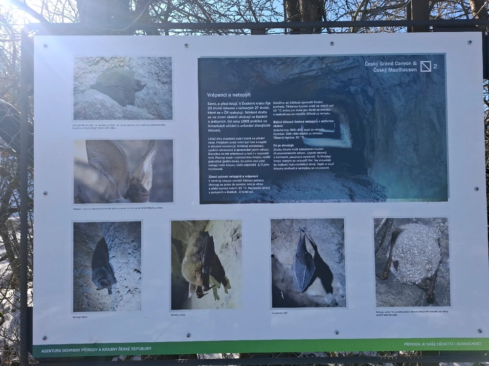 Obrázek nahrál Nora