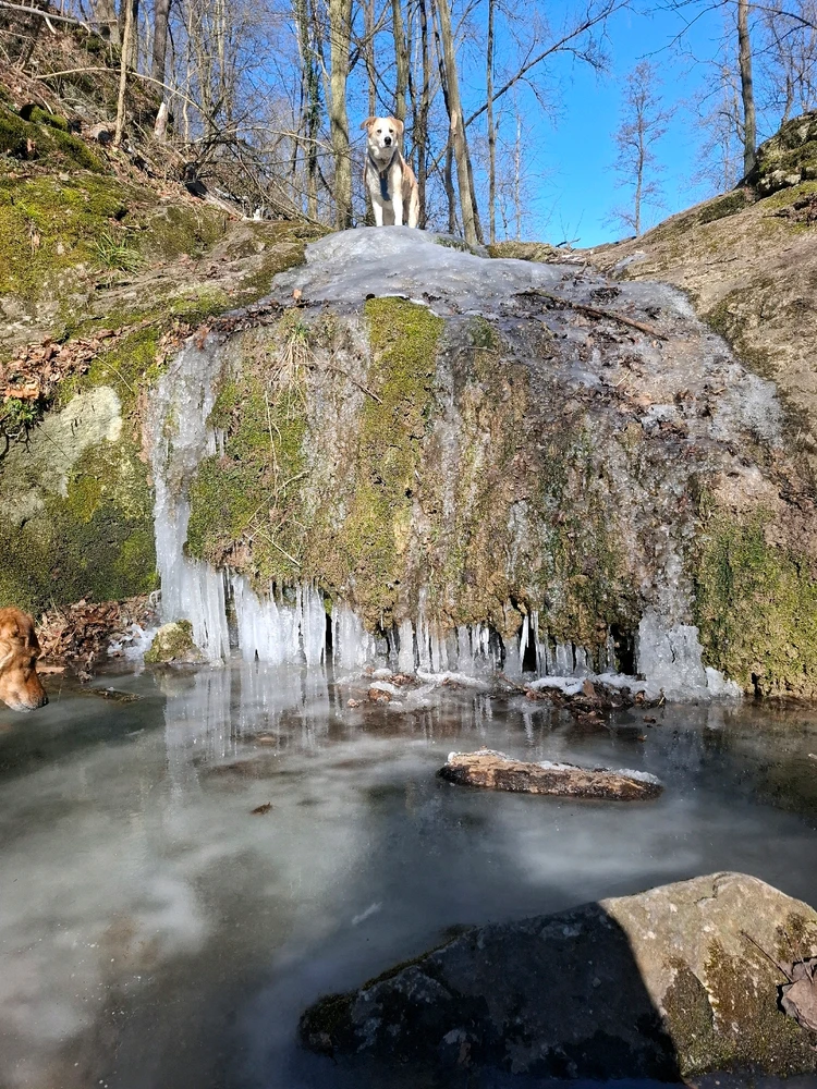 Obrázek nahrál Nora