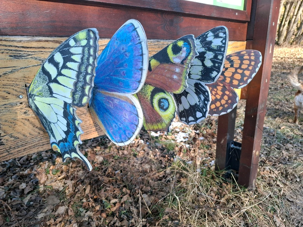 Obrázek nahrál Nora