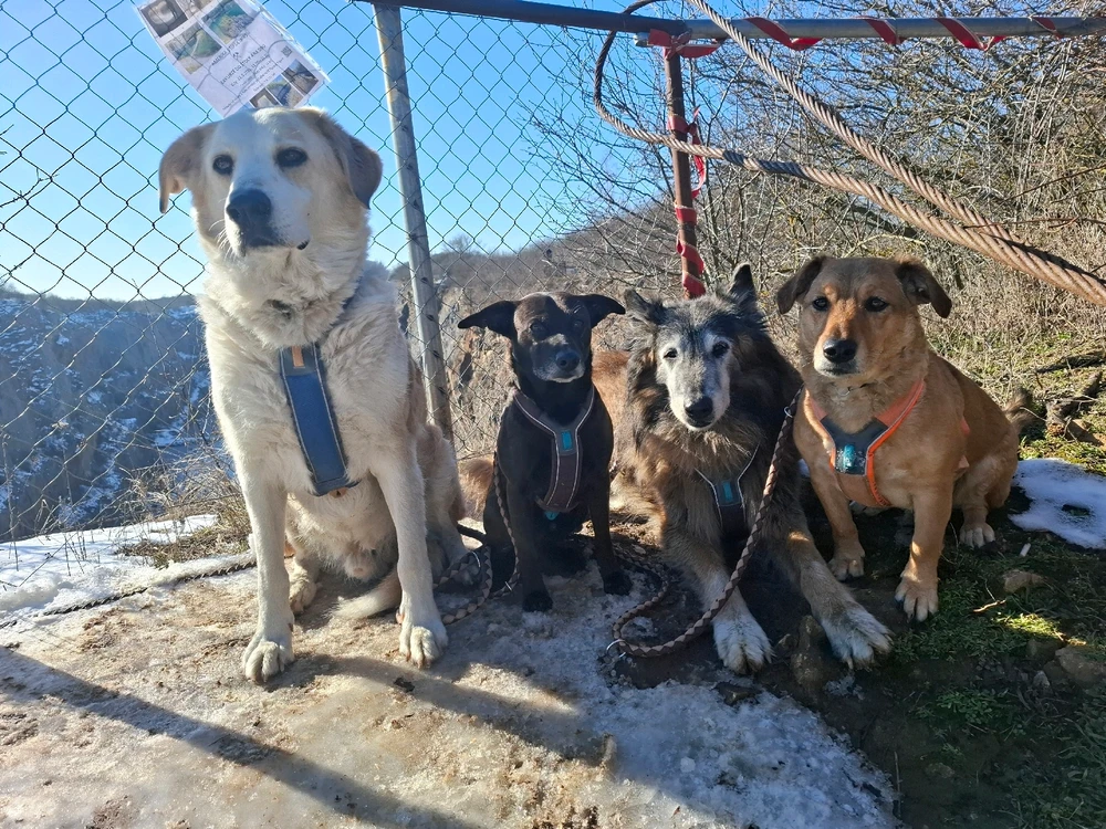 Obrázek nahrál Nora