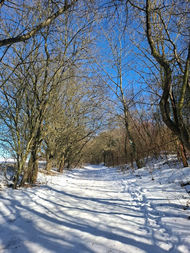 Obrázek nahrál Nora