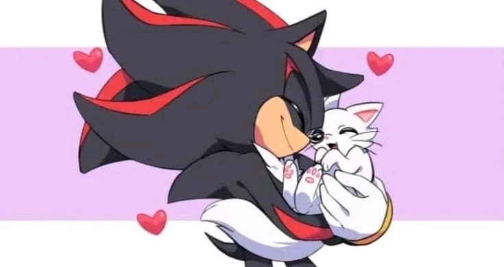 Image uploaded by Ally