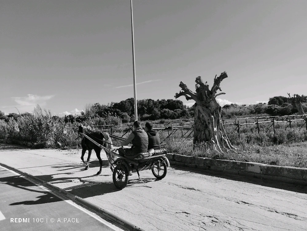 Immagine caricata da Alessandro | alpacigno