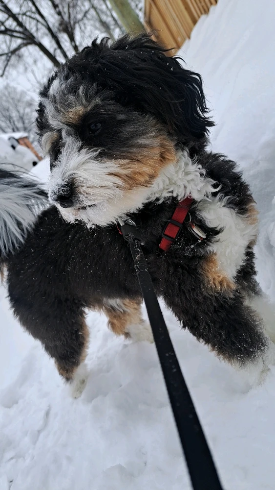 GIF uploaded by Dylan