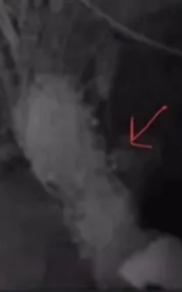 Image uploaded by Ever B