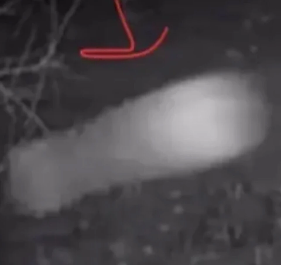 Image uploaded by Ever B