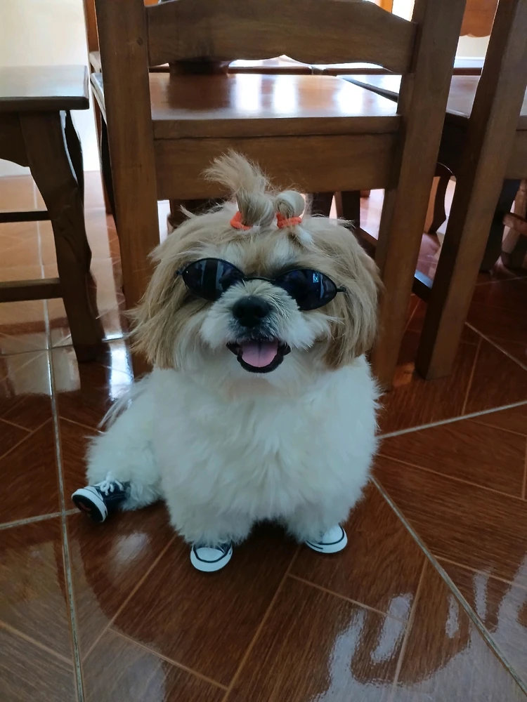 Image uploaded by Jessa