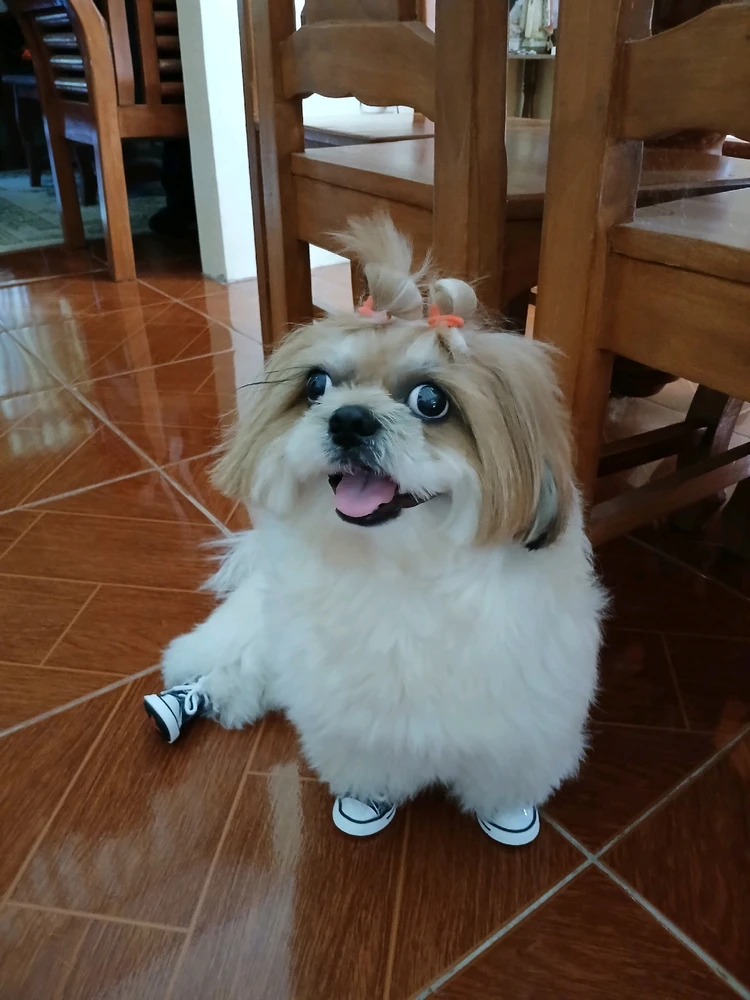 Image uploaded by Jessa