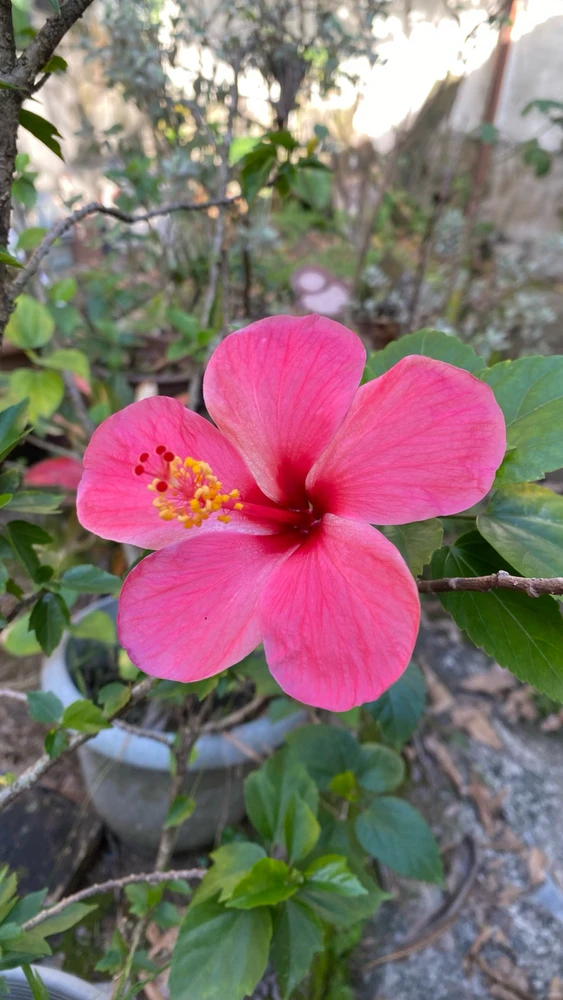 GIF uploaded by Mademoiselle Amy