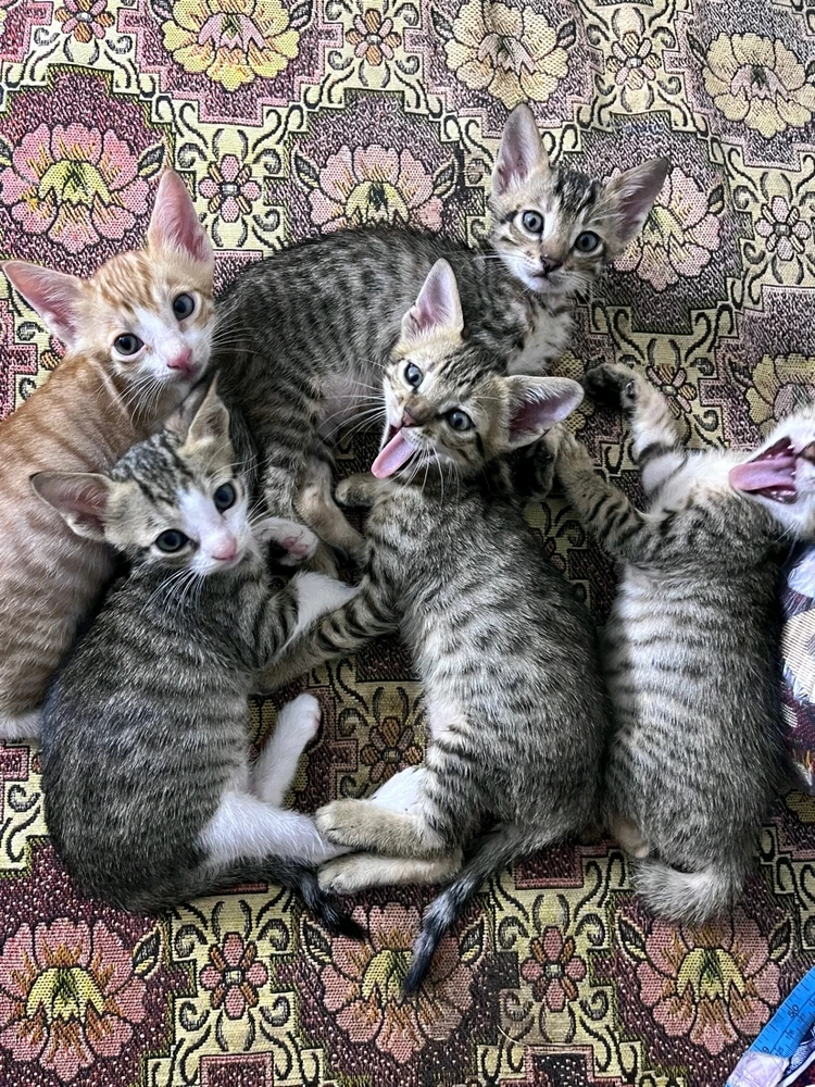 GIF uploaded by Hamza