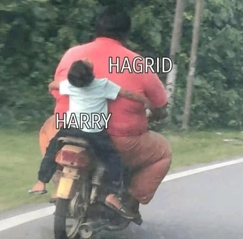 Hagrid gave beautiful hugs though. 😂