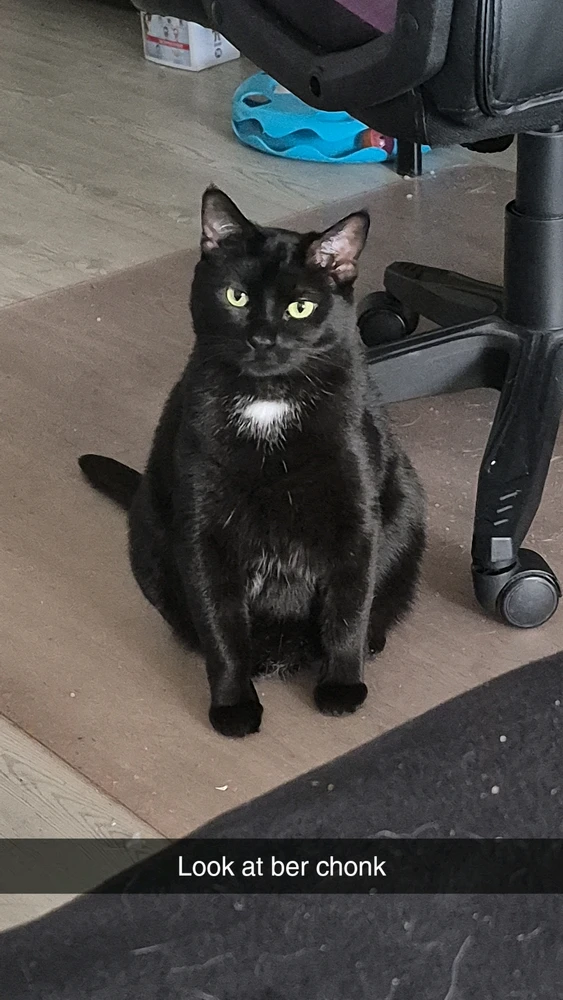 Image uploaded by Lilith Van'Nightinveil