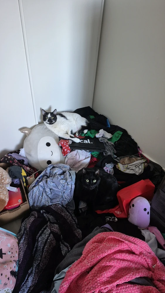 Image uploaded by Lilith Van'Nightinveil