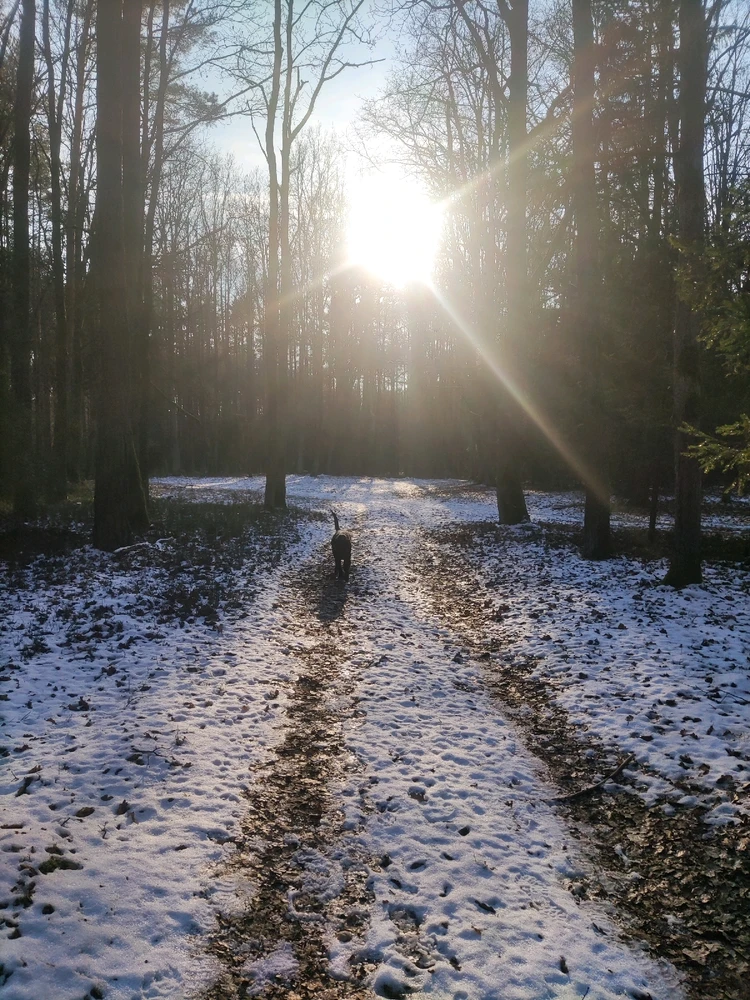 Obrázek nahrál Dave