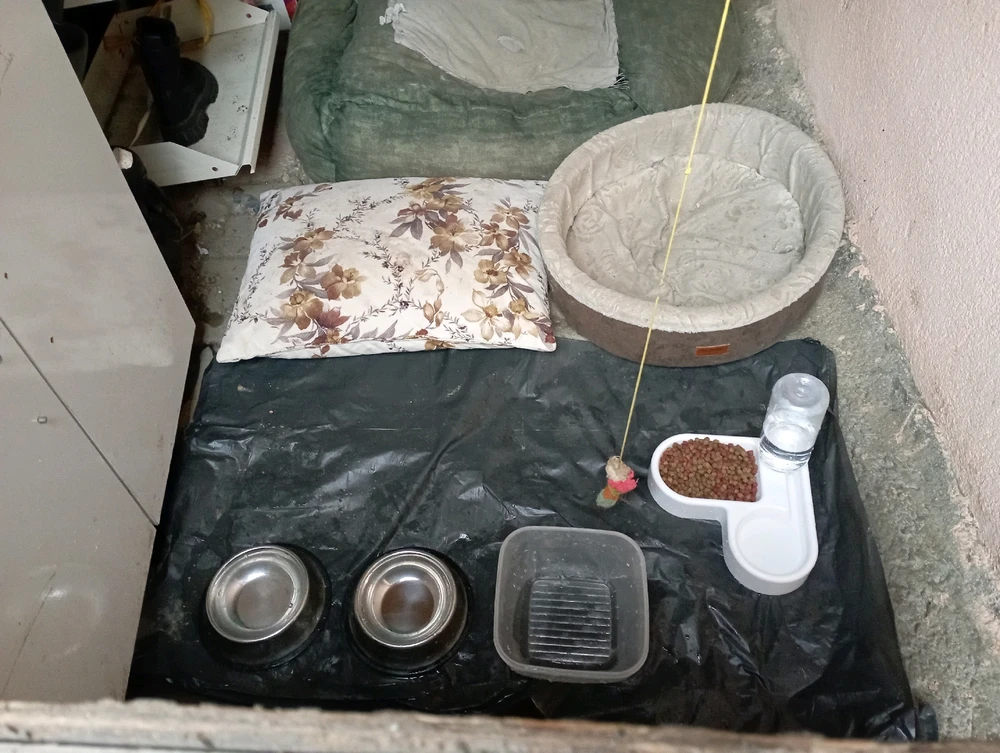 esmerhatun tarafından yüklenen GIF