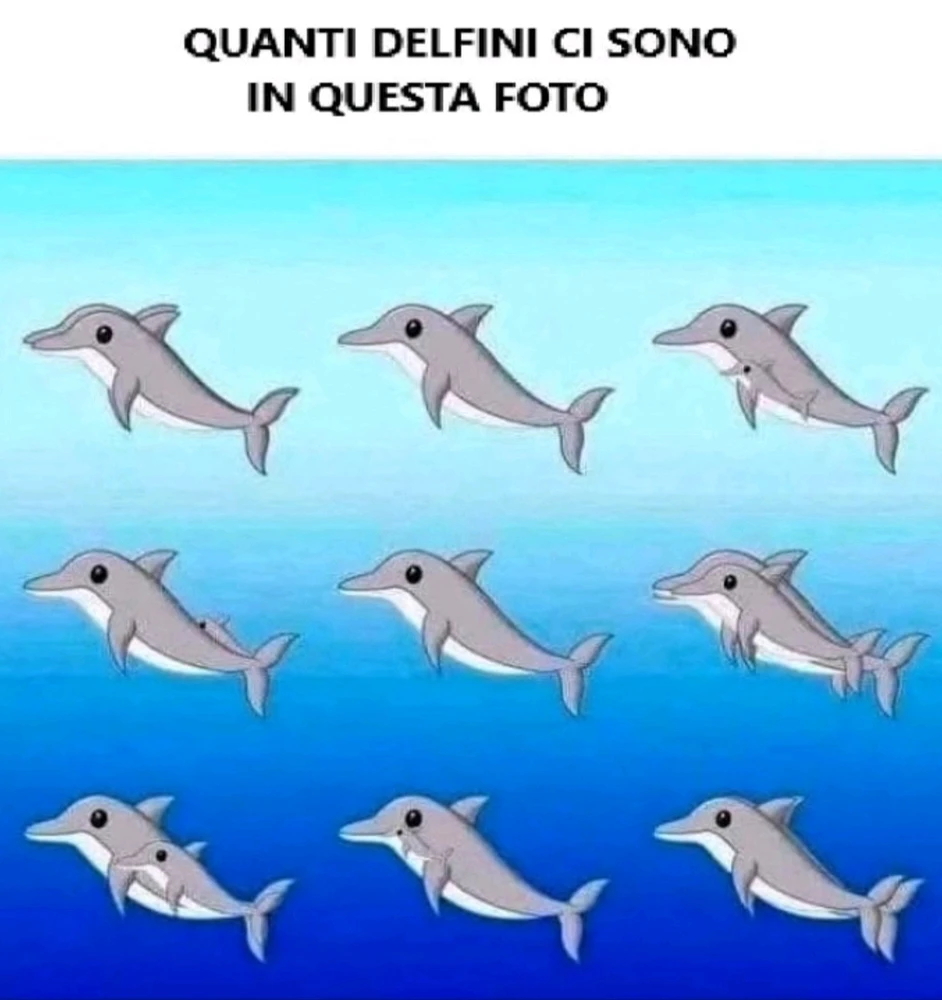 GIF caricata da Luce