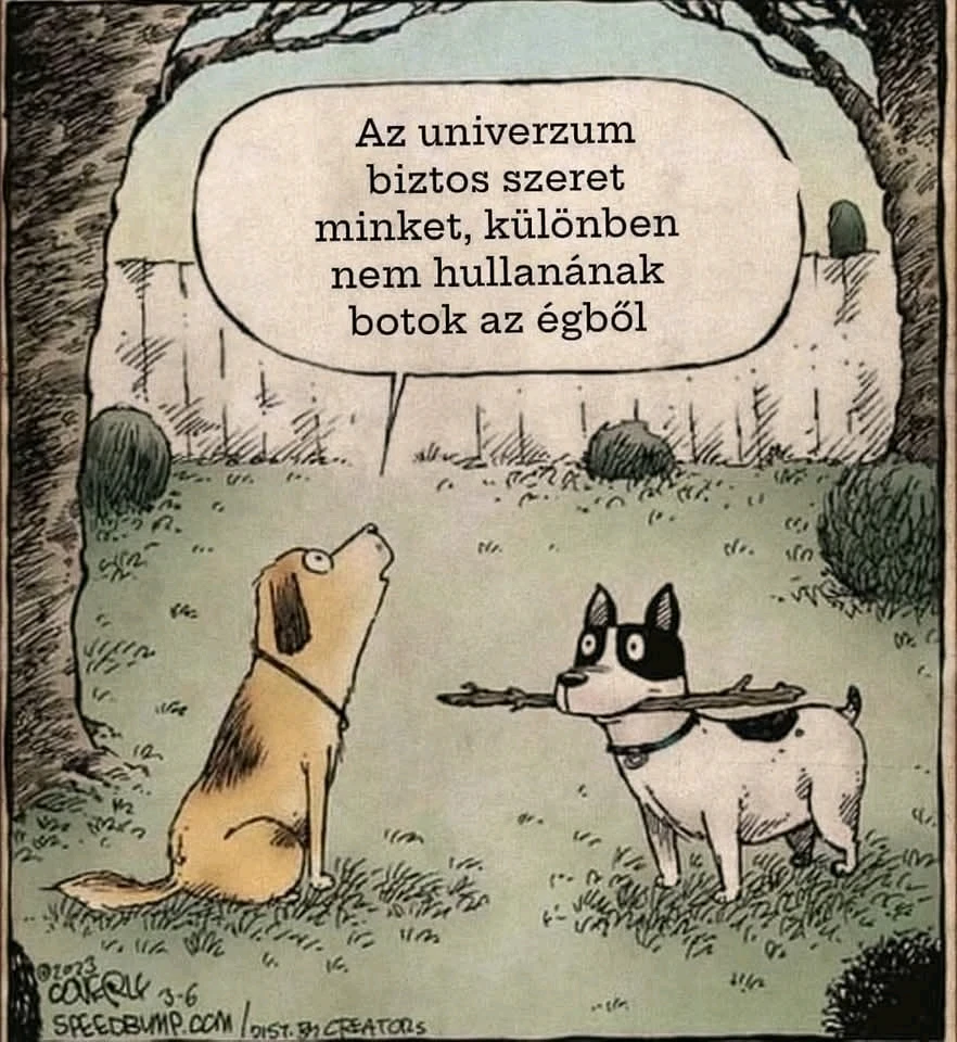 vanazúgy által feltöltött GIF