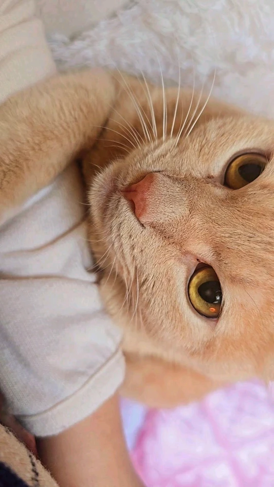 GIF הועלה על ידי Emmaliz