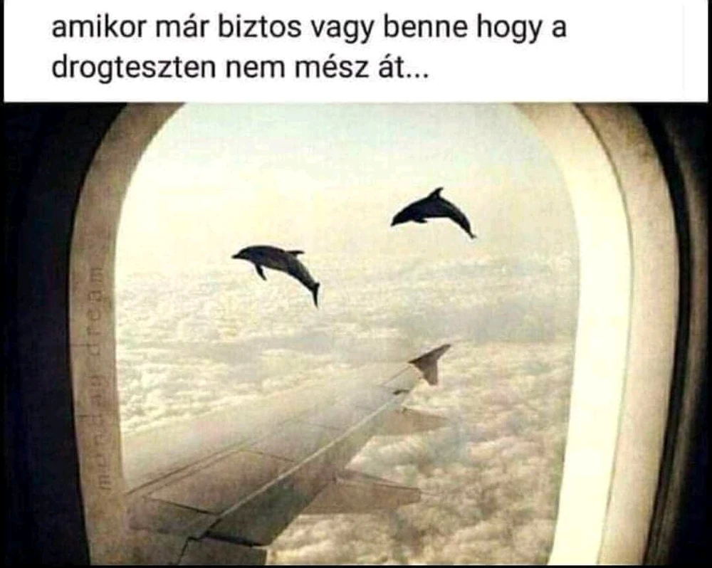 Attila által feltöltött GIF