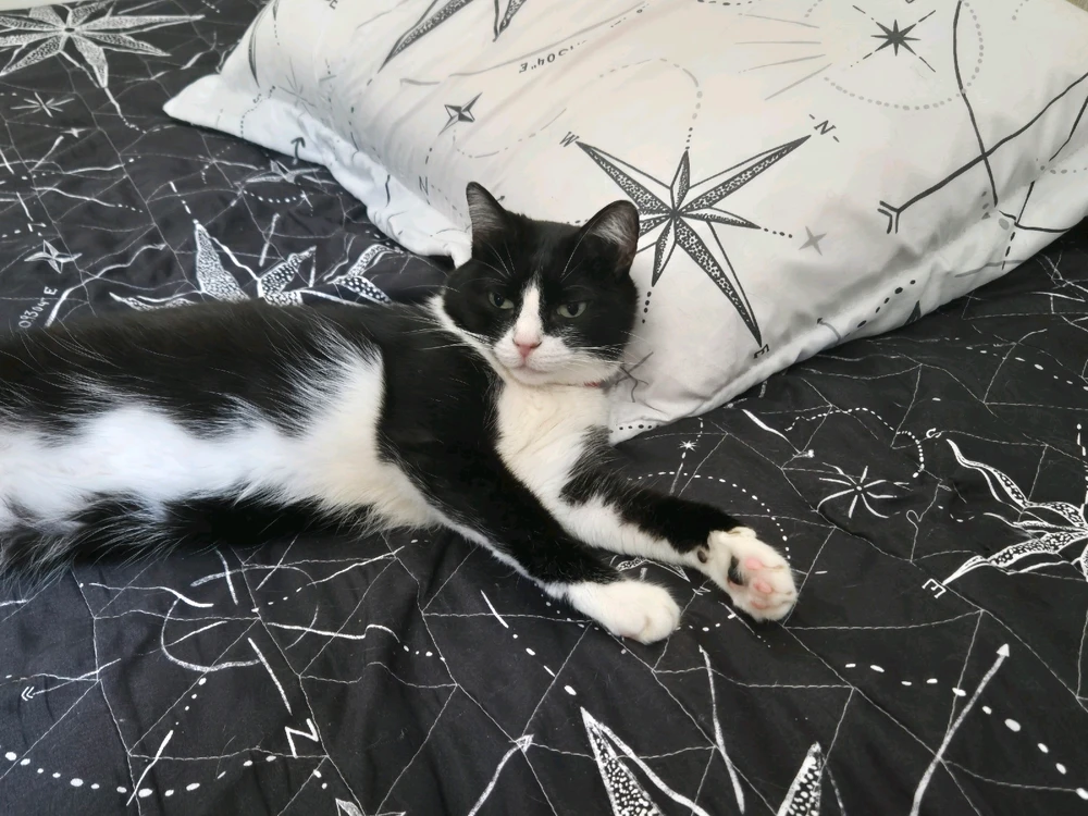 GIF enviado por Guilherme