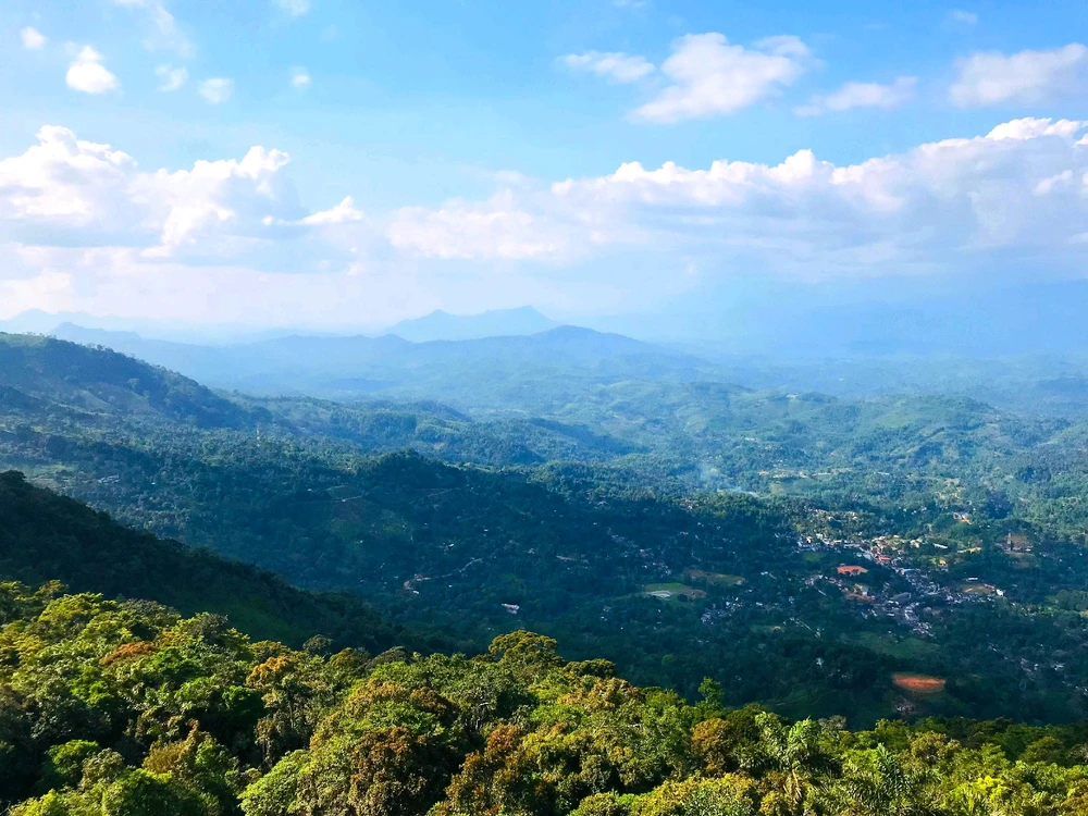 Image uploaded by Randika Malshan