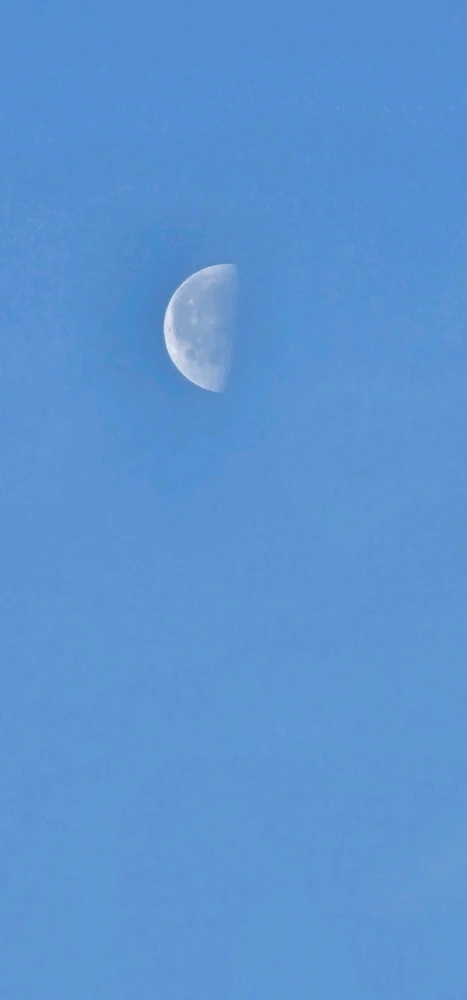 GIF diunggah oleh May