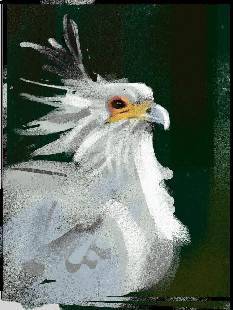 GIF uploaded by Tyson