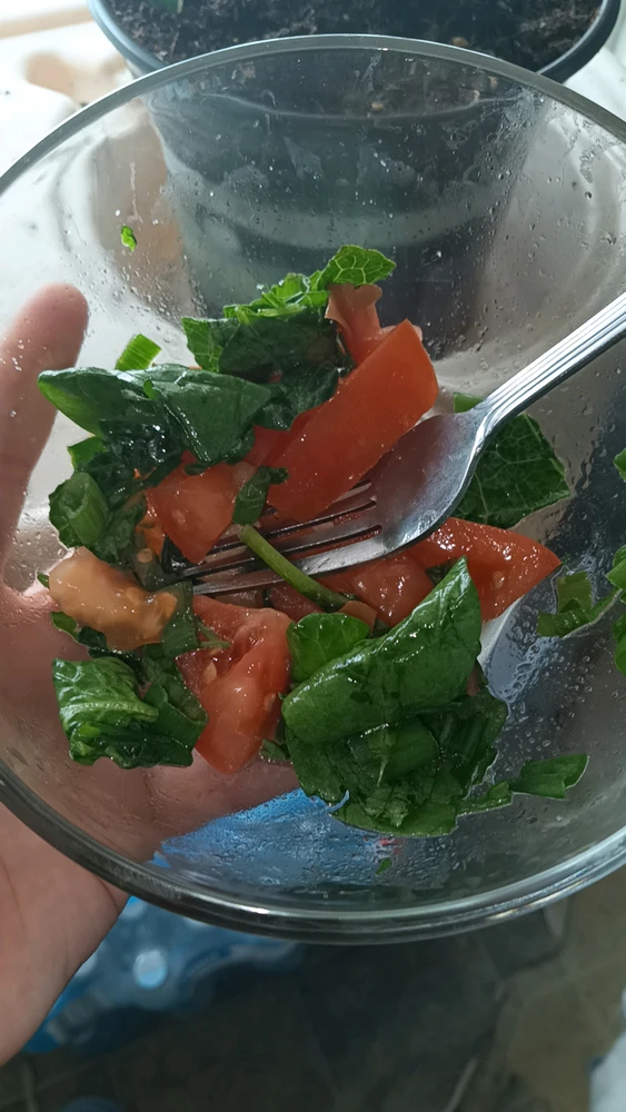 Image uploaded by Evee