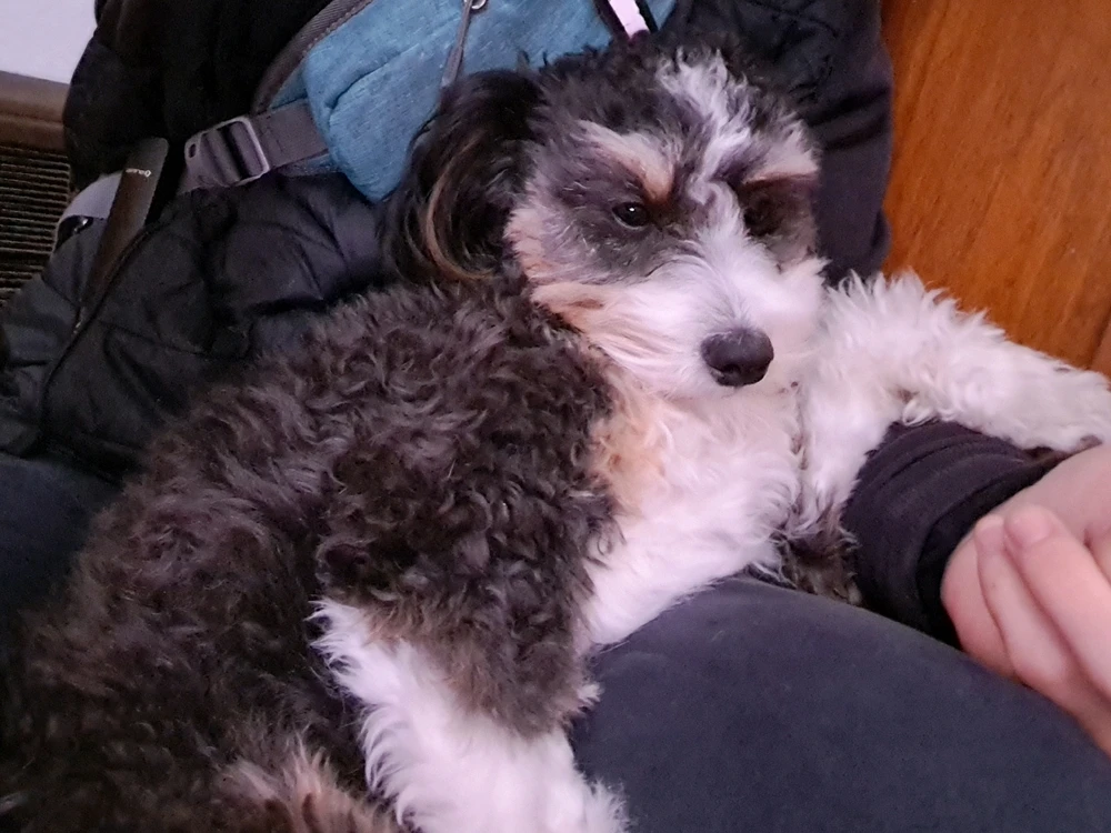 GIF uploaded by Dylan