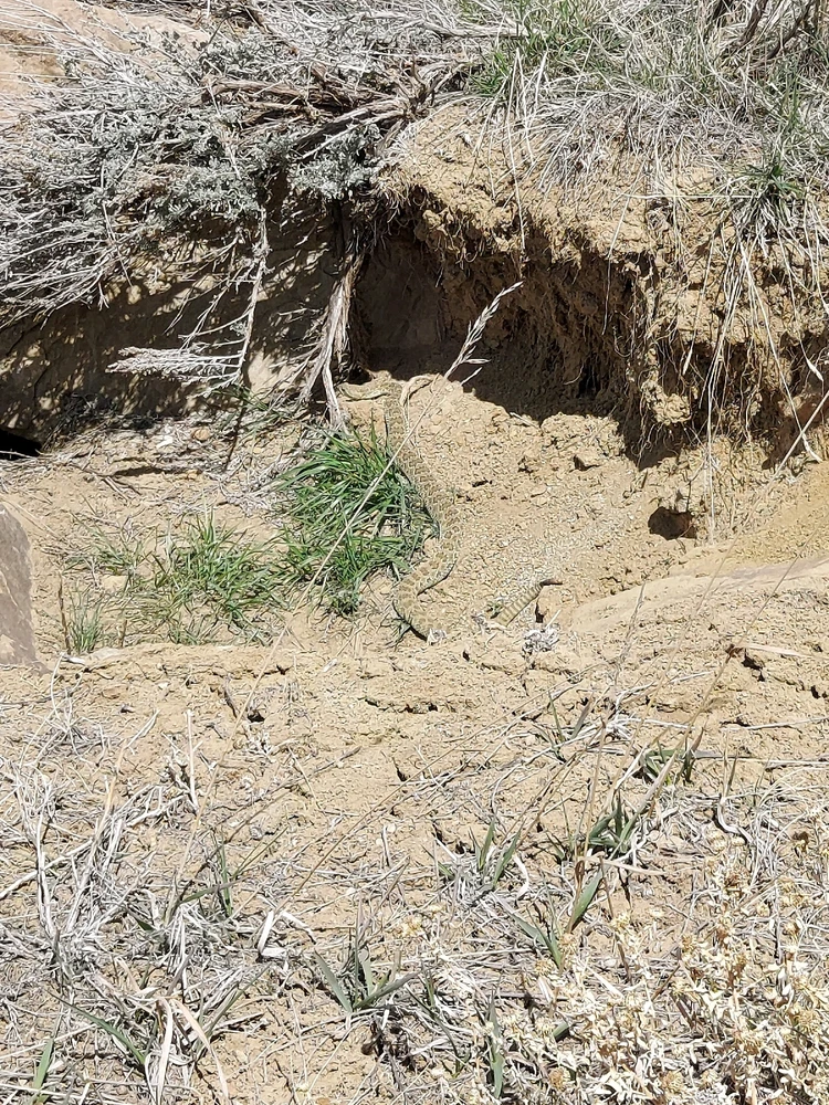 Image uploaded by Lynnae