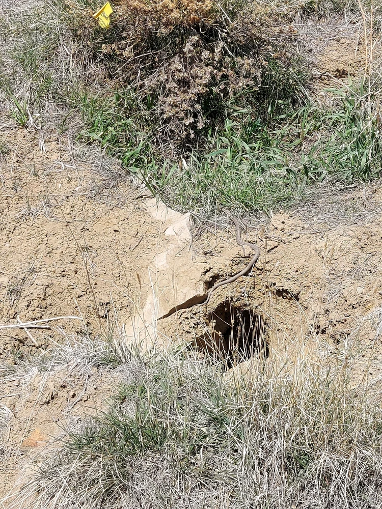 Image uploaded by Lynnae