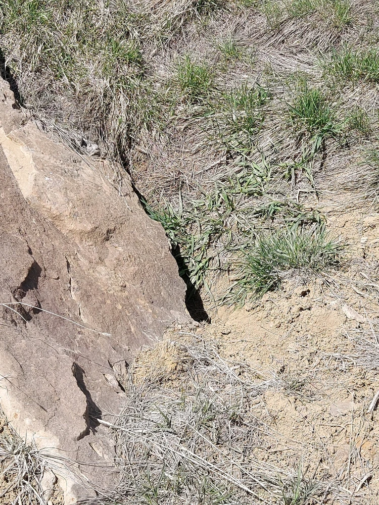 Image uploaded by Lynnae