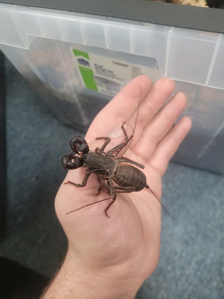 GIF uploaded by Matthew Kobak