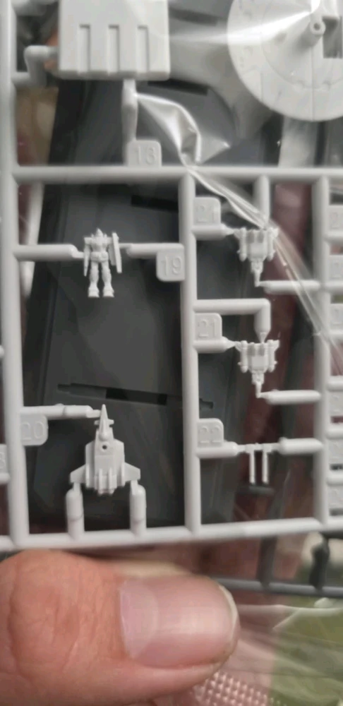 Image uploaded by Matt